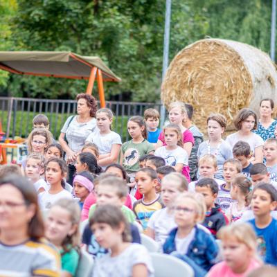 242009173 4443803348991210 5518956238185513197 N