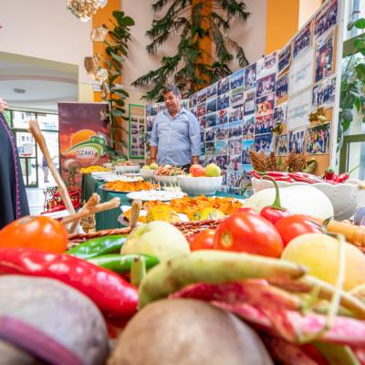 242036204 4443794378992107 7462180642831813887 N