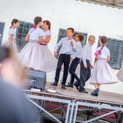 242036649 4443806662324212 2054578707204992575 N