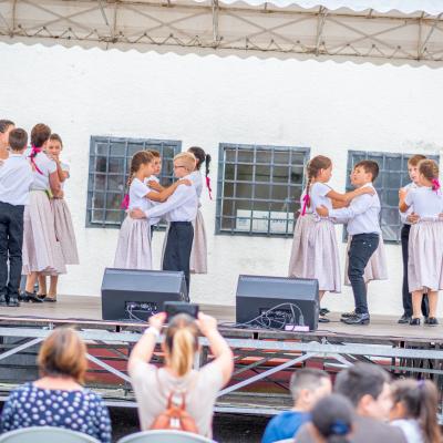 242040276 4443806538990891 4777589671410122294 N