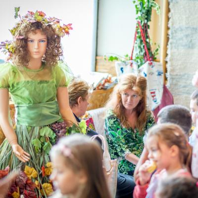 242050230 4443796245658587 4493856259973796 N