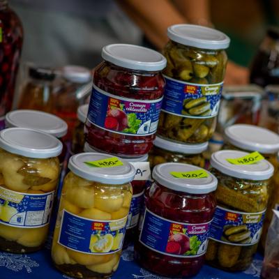 242079850 4443798818991663 2285626092845891323 N