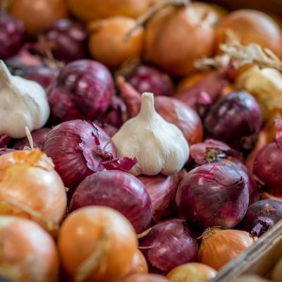 242086766 4443798755658336 9175470345085550920 N