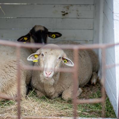 242094058 4443795825658629 206936958884621500 N