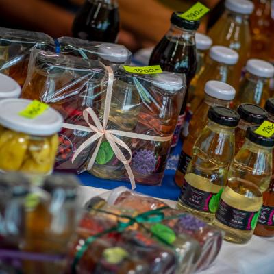 242108277 4443799368991608 5016711704978178911 N