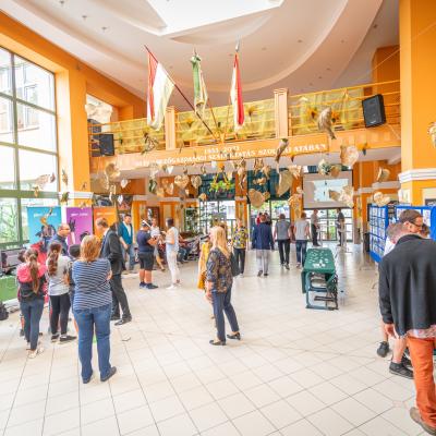 242144992 4443794868992058 6982046509757678911 N