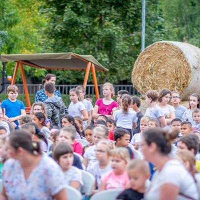 242151083 4443801905658021 2136200579131914902 N