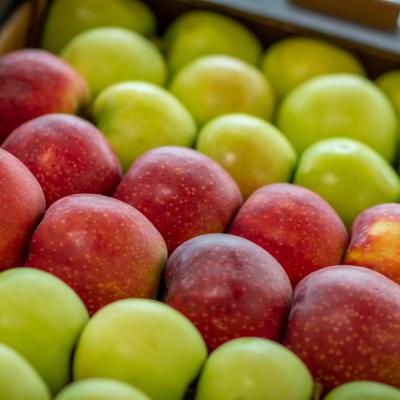 242308686 4443796615658550 335359230086247168 N