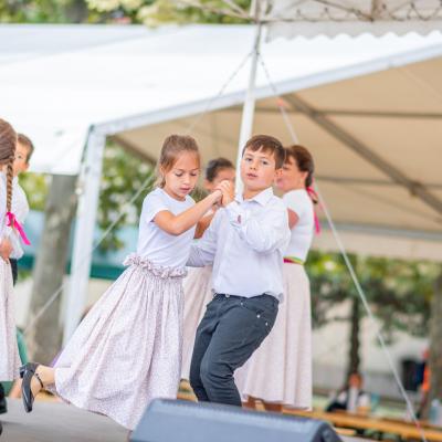 242316462 4443805192324359 2846035694317058934 N