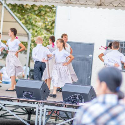 242319914 4443804928991052 400252807253199367 N