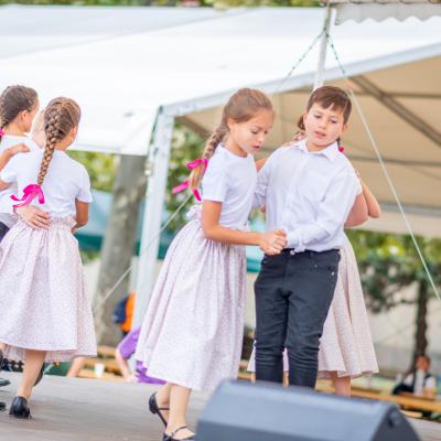 242381395 4443805295657682 9136778302381661963 N