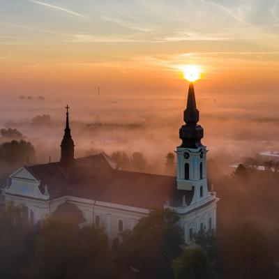 135084264 1034424817052803 5681892380161057349 O