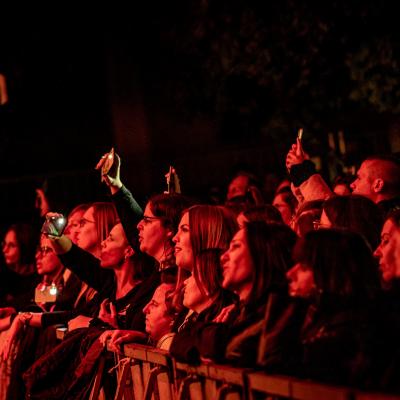 246070513 4533056926732518 4746438716673021031 N