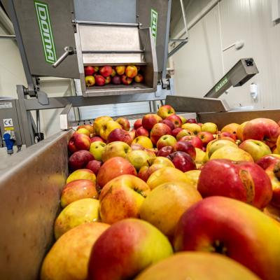 260888388 387242013193442 6897358245265083976 N