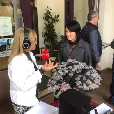 283946017 421615396637265 2429289315334921332 N