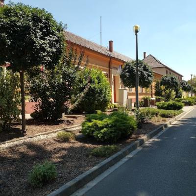 294695824 465142425617895 4563492154386469541 N