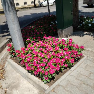 294858950 465142755617862 3900854309918899212 N