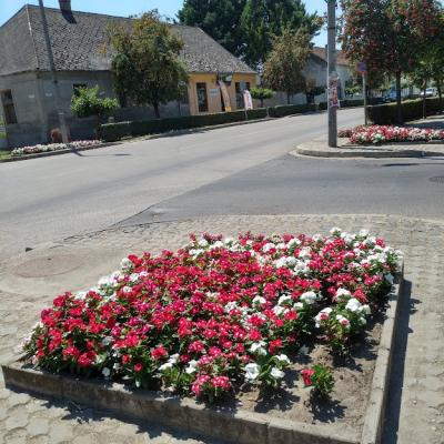 295111961 465143022284502 1400471818746345218 N