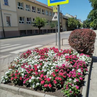 295859934 465142932284511 6662357188263914130 N