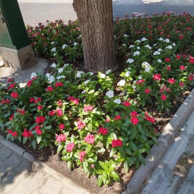 296030708 465142818951189 5694973118872191121 N