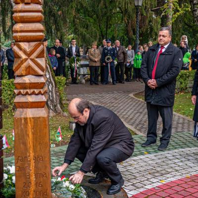 311597366 542922634506540 2044925262942691676 N