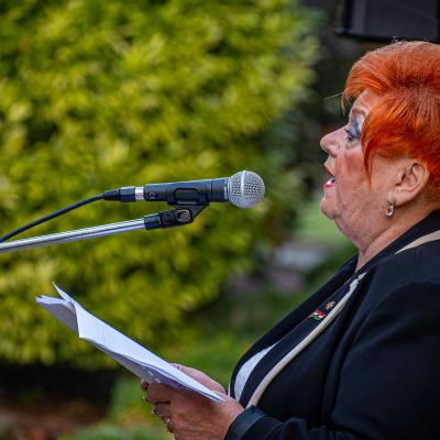 311820414 542921491173321 6331757728971558141 N