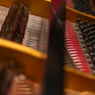 402621105 739209691566760 8497496989648686826 N